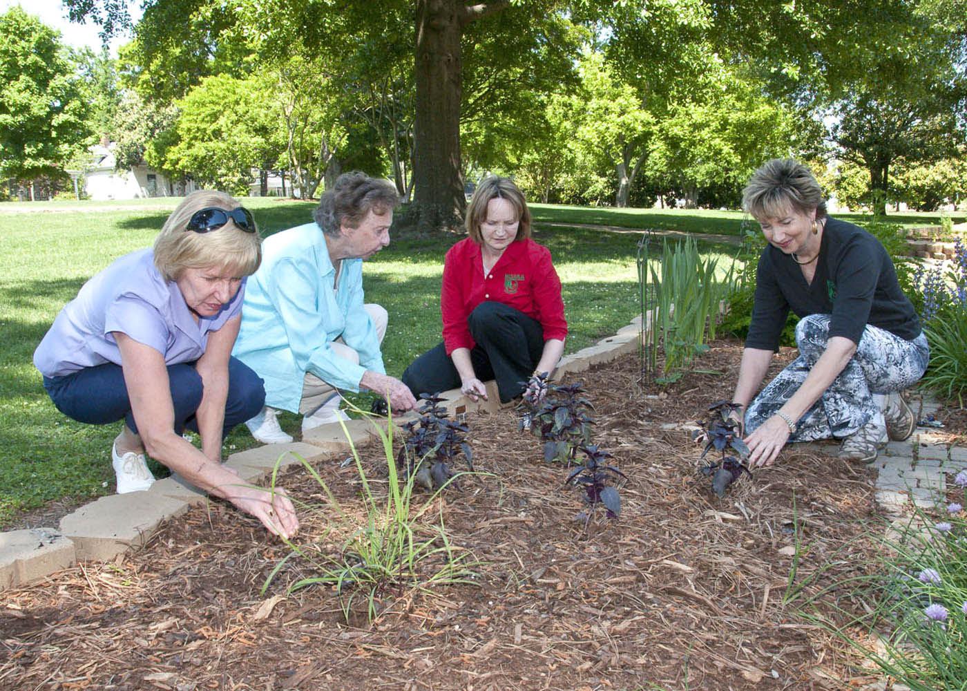 For some, gardening is a passion that leads to community service, but for others, gardening is just hard work. Lowndes County Master Gardeners, from left, Jean Wilson, Mary Faglie, Jennifer Duzan and Nell Thomas examine some of the herbs growing in the garden they renovated for the Culinary Institute at Mississippi University for Women. (Photo by MSU Ag Communications/Scott Corey)