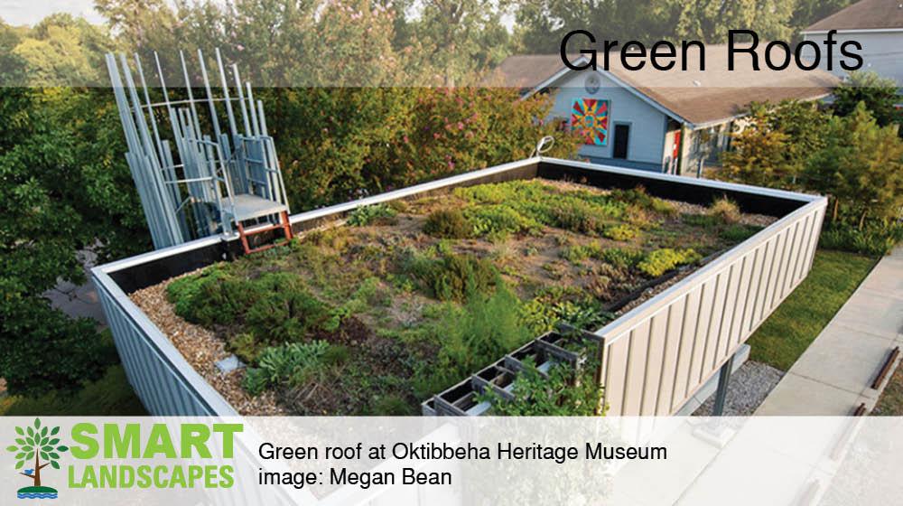 Green roof pavilion at the Oktibbeha County Museum