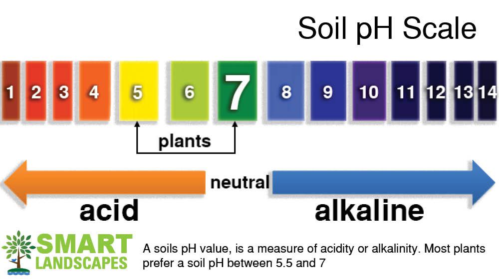 Acid Alkaline Soil Chart