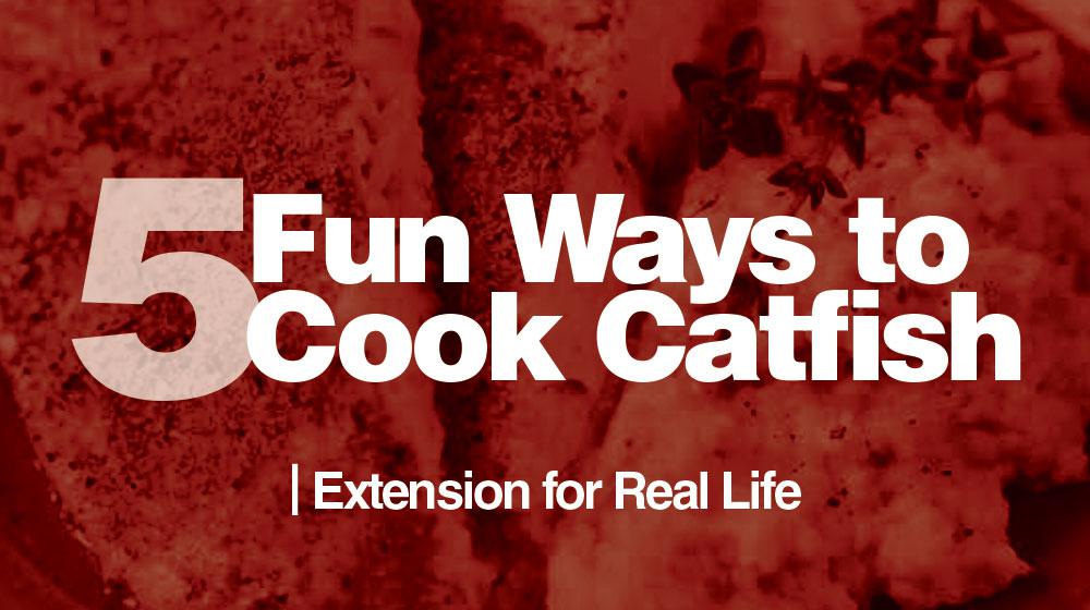 5 Fun Ways To Cook Catfish