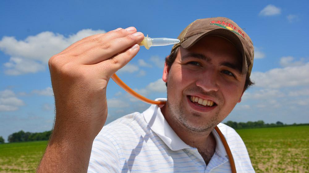Mississippi State University worker Brad Tubbs of Grenada examines the thrips he has collected from soybean plants in a Sunflower County, Mississippi, field on June 3, 2015. (Photo by MSU Ag Communications/Linda Breazeale) 