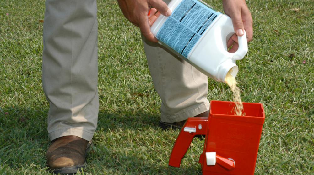 A man pouring granular bait into a red spreader on a green lawn.