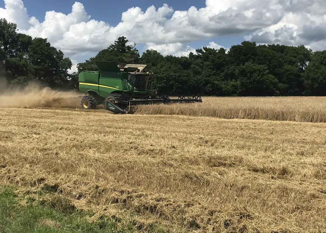 A piece of green farm machinery moves through a wheat field.