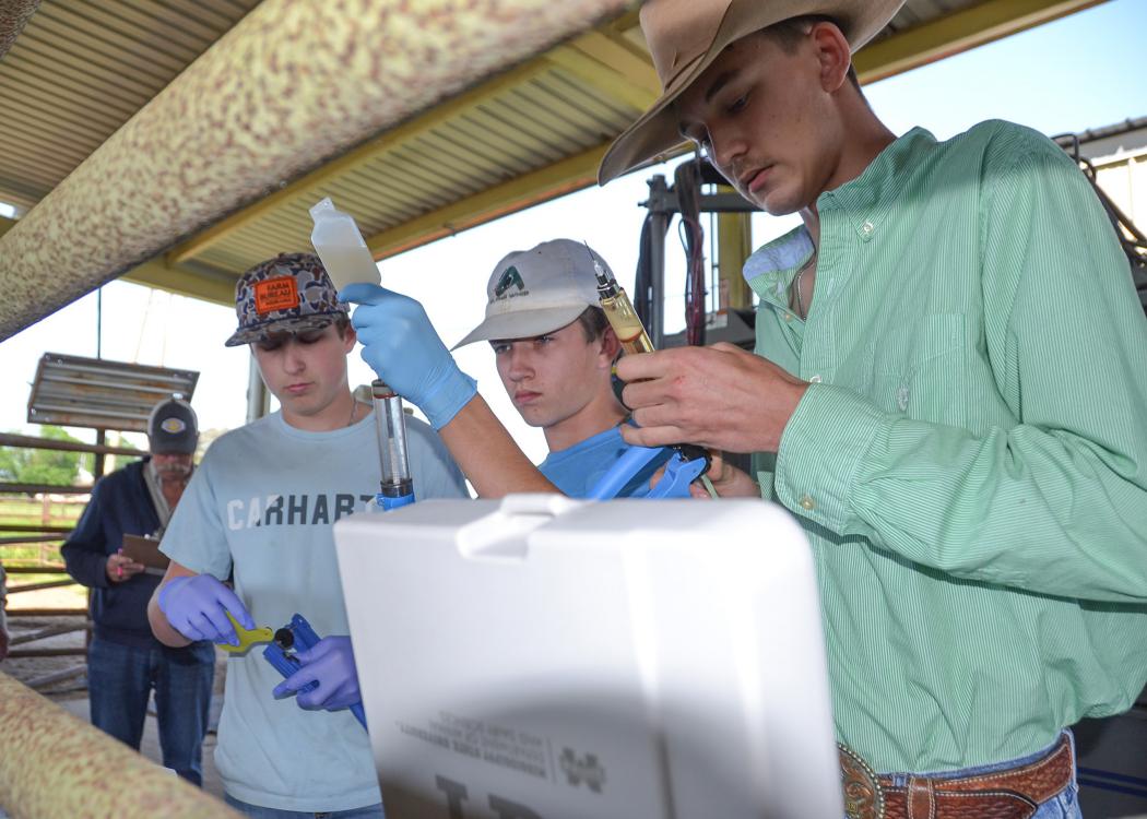 Three young people hold medical equipment in a barn.