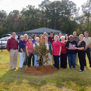 Eighteen adults, including 14 women and 4 men, stand behind a magnolia sapling with one woman toward the right holding an award plaque. 