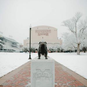 A wide shot of a bulldog statue in front of a football stadium. Brick walkway lined with white snow.