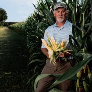 A man holding three ears of corn stands in a corn field.