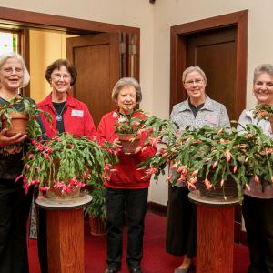 A group of 5 older women holding potted plants smile for a group photo.