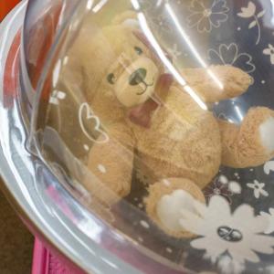 A teddy bear in a clear, plastic sphere.
