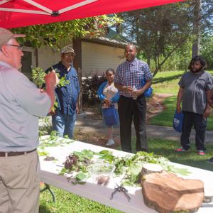 A man beside a table of plant samples shows a group of people one of them.