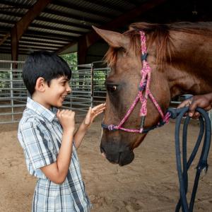 A smiling boy and a horse, facing one another.