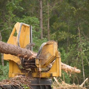 A tree trunk in a cutter.