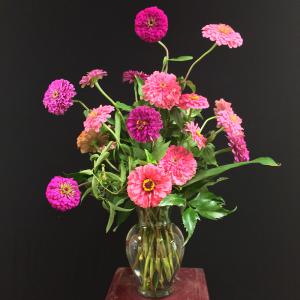 A vase arrangement of pink and violet zinnias.
