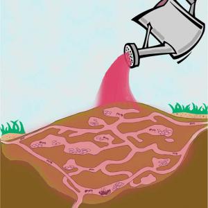 Drawing of a fire ant mound and its foraging tunnels being soaked by a pink liquid coming out of a watering can.