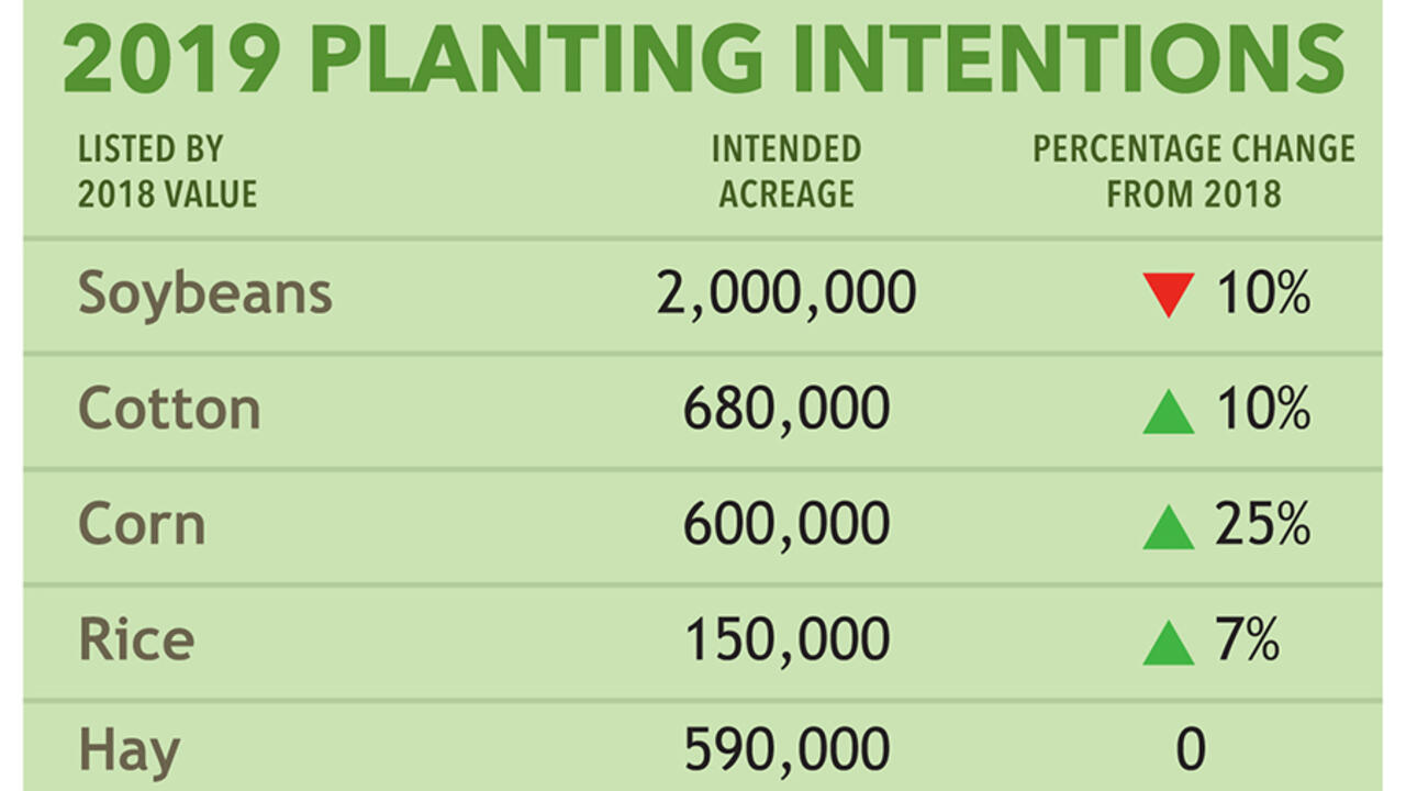 2019 planting intentions.