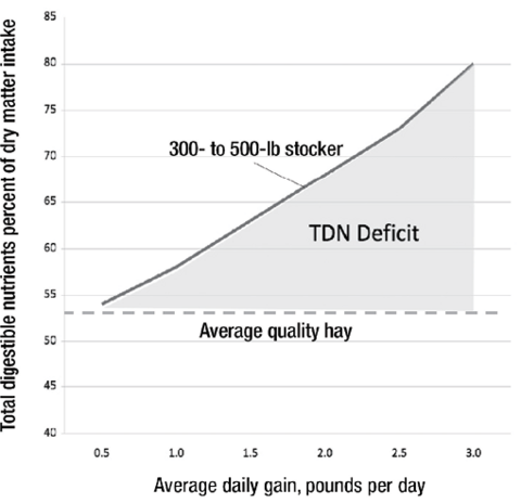 Line graph showing total digestible nutrients vs. average daily gain for a 300–500 lb stocker, highlighting a "TDN Deficit" when using average quality hay above 1.25 lb./day of gain.