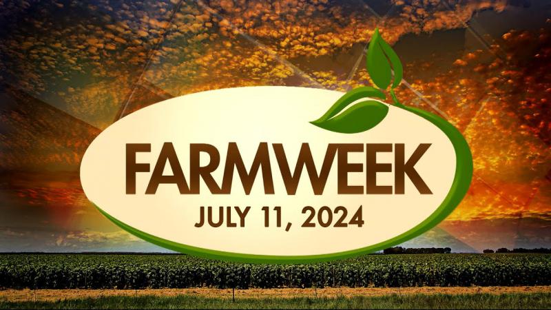 Farmweek | July 11, 2024 | Full Show