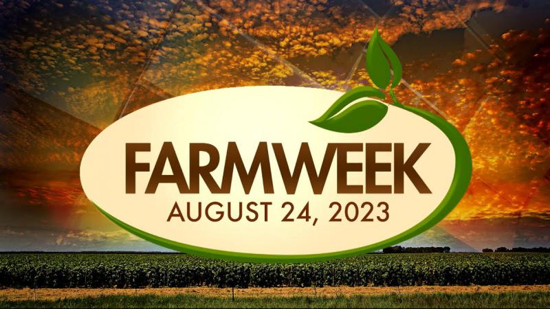 Farmweek | August 24, 2023 | Full Show