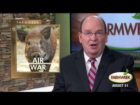 Farmweek | Entire Show | August 31, 2017