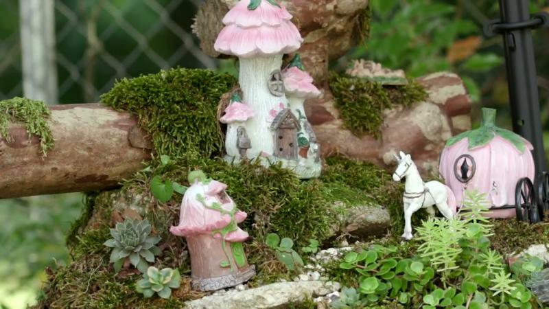 Fairy Gardens, August 2024