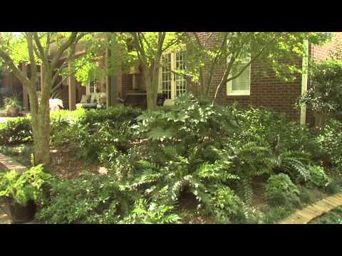 Cool and Relaxing - Southern Gardening TV, October 3, 2012