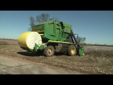Thad Cochran Agricultural Leadership Program (TCALP)