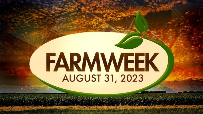 Farmweek | August 31, 2023 | Full Show
