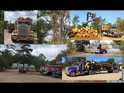 Logging Truck Cab Manufacturers in the Western Gulf