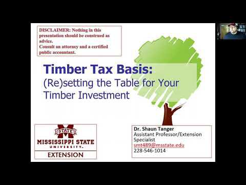 Timber Tax Basis