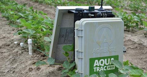 A larger plastic box on the ground at the end of a plant row with wires connected to sensors in the ground along the row.