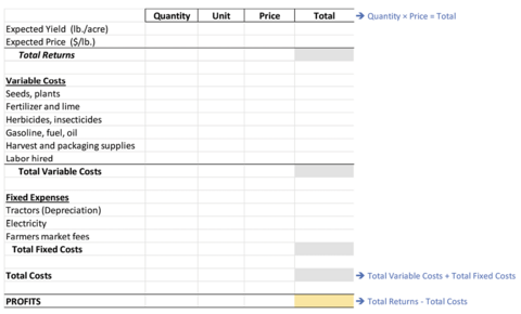 An example crop budget page shows these categories: 1) total returns (expected yield, expected price); 2) total variable costs (seeds and plants; fertilizer and lime; herbicides and insecticides; gasoline, fuel, and oil; harvest and packaging supplies; labor hired); 3) total fixed costs (tractors, electricity, farmers market fees); 4) Total costs (total variable costs plus total fixed costs); and 5) profits (total returns minus total costs).