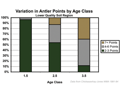 Figure 2. Bar graphs demonstrating how the number of antler points varies for 1.5-, 2.5-, and 3.5-year bucks in areas of higher and lower soil quality in Mississippi. Information on age-related antler development is critical when developing a site-specific antler restriction.
