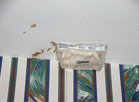 A plastic package of bait attached to the ceiling of a room with exposed mud tubes.
