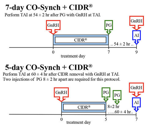 Beef heifer short-term fixed-time AI protocols. 7-day CO-Synch plus CIDR: GnRH day zero; CIDR and treatment between days zero and 7; PG day 7; perform TAI at 54 plus/minus 2 hours after PG with GnRH at TAI. 5-day CO-Synch plus CIDR: GnRH day zero; CIDR and treatment between days zero and 5; PG day 5; perform TAI at 60 plus/minus 4 hours after CIDR removal with GnRH at TAI; two injections of PG 8 plus/minus 2 hours apart are required for this protocol.