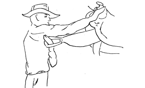 Diagram of a person with their right arm on the saddle and their left arm pulling the stirrup into their right armpit.