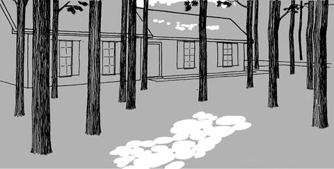 A home with large trees in the front yard. The lawn is mostly shady with a small amount of sunlight on the ground.