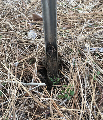 A soil probe.