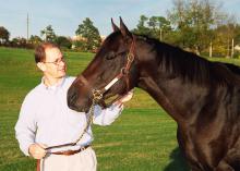 Dr. David Christiansen, a clinical instructor in Mississippi State University's College of Veterinary Medicine, holds Minister Slew, the grandson of Triple Crown winner Seattle Slew. The university is offering Minister Slew and four other stallions for stud services to horse breeders around the region. (Photo by Linda Breazeale, MSU Ag Communications )