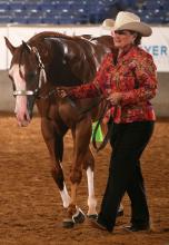 Photo courtesy of The American Quarter Horse Journal.