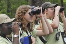 Alexis Webber, Molly Kate Chamblee, and Shaina Keene (top, from left) look for an endangered red-cockaded woodpecker at the Noxubee National Wildlife Refuge.