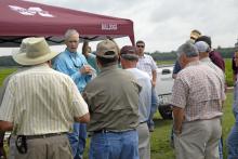 Ted Wallace, a cotton breeder with the Mississippi Agricultural and Forestry Experiment Station, discussed research on nematode resistance in cotton at the Agronomic Crops Field Day at the R.R. Foil Plant Science Research Center in Starkville. 