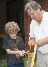 MSU Extension entomologist Jeff Harris holds a bee frame while Emmett King, 10, carefully harvests the honey. Beekeeping was one topic covered in Mississippi State University's 20th annual Bug and Plant Camp. (Photo by MSU Ag Communications/Kat Lawrence)