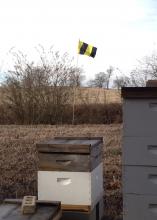 To increase awareness of honeybee hives located near agricultural fields, the Mississippi Honey Bee Stewardship Program recommends beekeepers post Bee Aware flags, such as this one spotted at Mississippi State University's H. H. Leveck Animal Research Center on Jan. 31, 2014. (Photo courtesy of Angus Catchot)