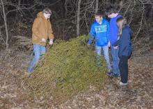 Ben Carr of Ackerman, left, helps his brother Pete, cousin Max Hudson of Louisville and sister Carrie move their grandfather's Christmas tree to the edge of his yard for wildlife cover on Jan. 7, 2015. (Photo by MSU Ag Communications/Kevin Hudson)