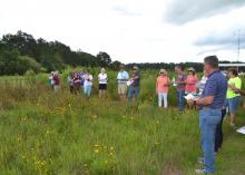 Brett Rushing, an assistant professor at Mississippi State University, discusses various planting and maintenance methods used on four native wildflower plots at the MSU Coastal Plains Branch Experiment Station in Newton on July 13, 2017, during the Wildflower Field Day. (Photo by MSU Extension Service/Susan Collins-Smith)