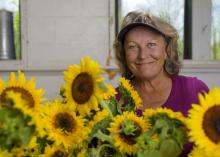 Terri Doyle grows sunflowers at Coastal Ridge Farm on the Mississippi Gulf Coast and sells them to wholesale distributors and at farmers markets. (Photo by MSU Extension Service/Kevin Hudson)