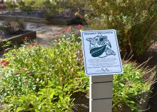  A closeup of the official Monarch Waystation sign is shown in the revitalized children's educational garden at the MSU Crosby Arboretum