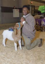 A young man kneels next to his goat at the Dixie National Sale of Junior Champions.
