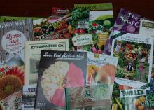 The colorful covers of about 20 gardening catalogs are fanned out on display.
