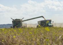 A combine moves through a field, pouring harvested grain into a tractor driving alongside.